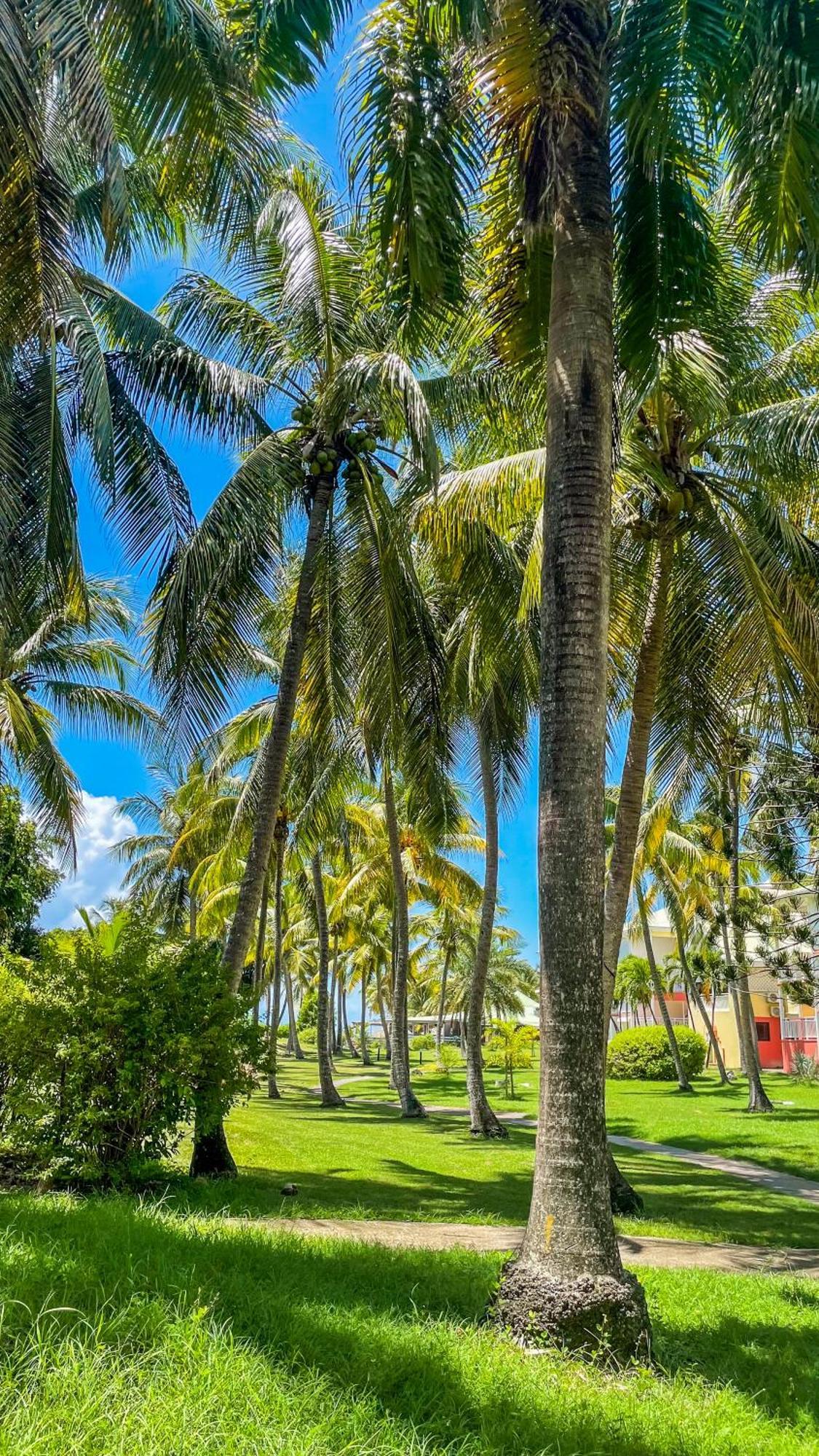 Anse Des Rochers Saint-Francois (Grande-Terre) Exterior foto